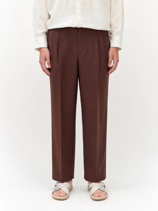 Brown Pleated Pants